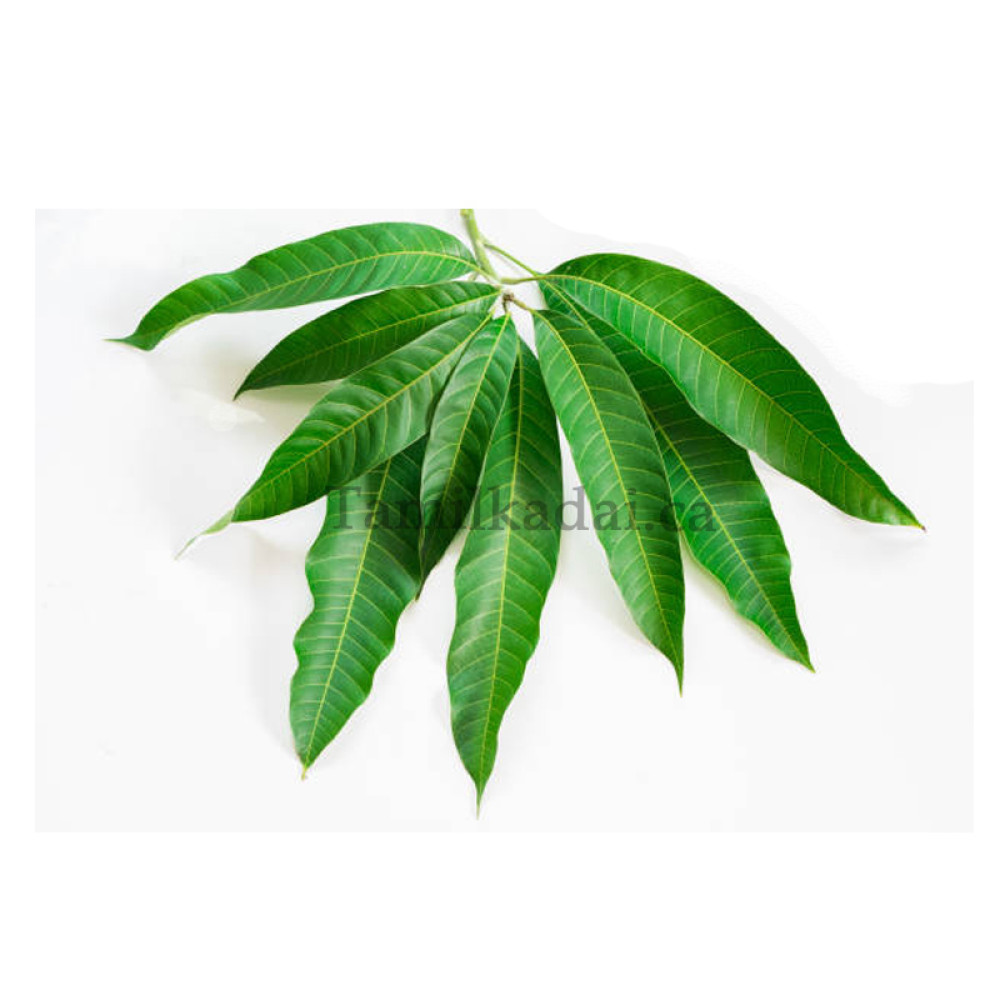 mango-leaves-5-for-1-99